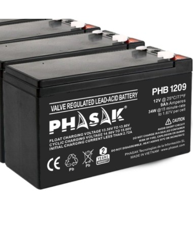 p ph2Baterias 12V PHASAK h2Plomo acido Baterias selladas PHASAK de plomo acido de 12V de 9 AhbrCompatibles con los modelos de S